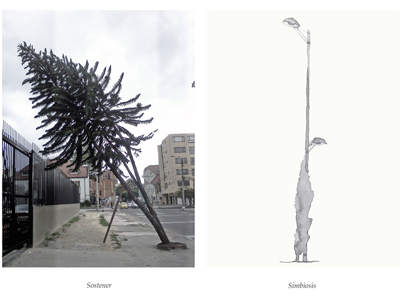2014-cosas-que-le-pasan-a-los-arboles-1
