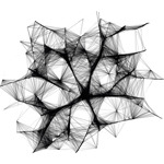 Big_rizoma-l